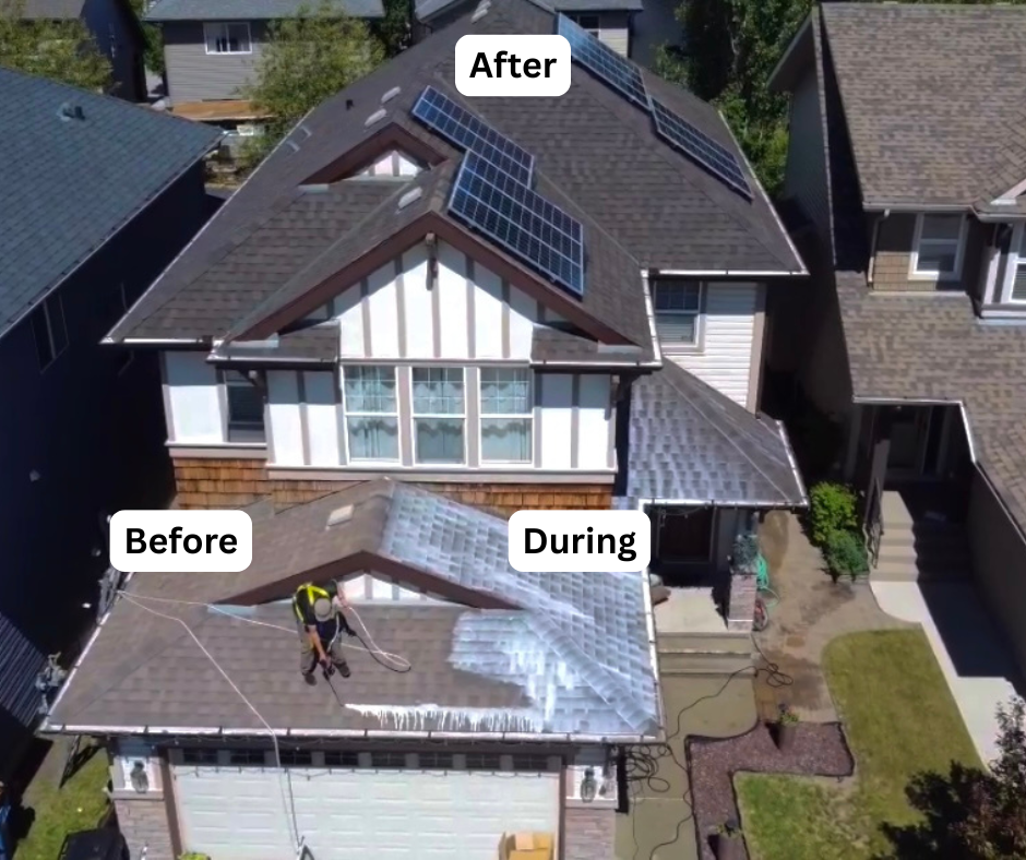 Roof rejuvenation in Natrona County — Bar Nunn home — restored shingle flexibility & granule reseal